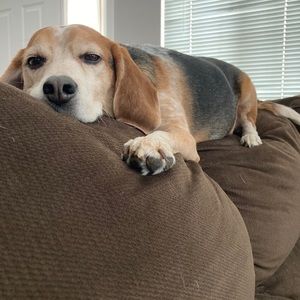 Meet your Posher, Kari